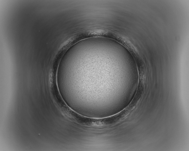 X0000111120591200907141152