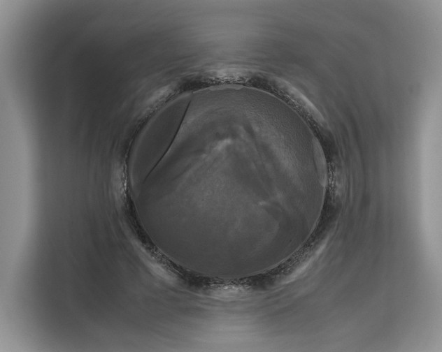 X0000111120593200907141152