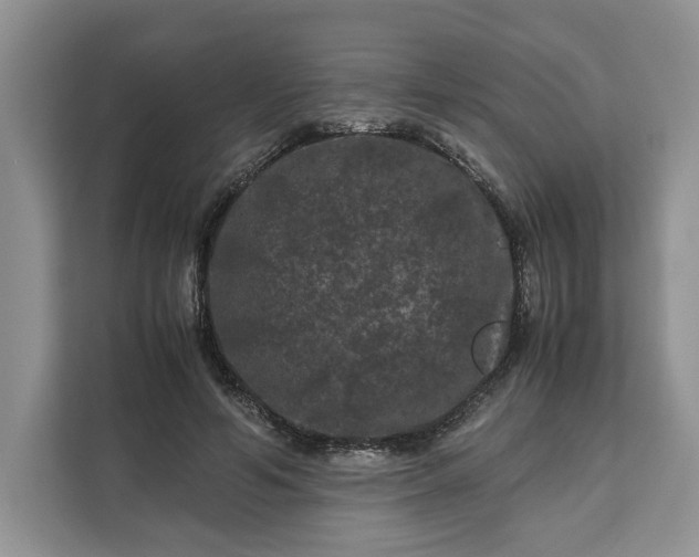 X0000111120594200907141152