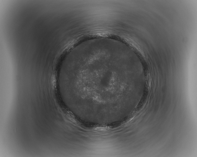 X0000111120595200907141152