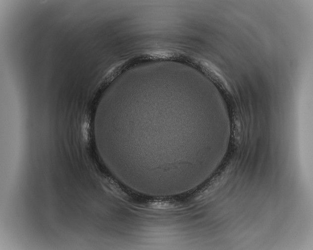 X0000111120596200907141152