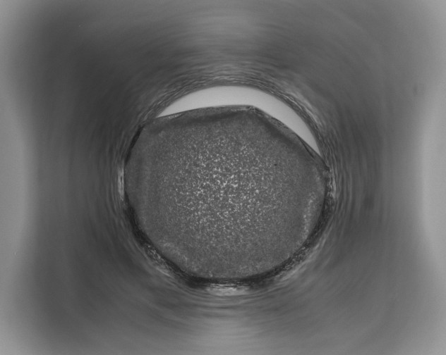 X0000111120597200907141152