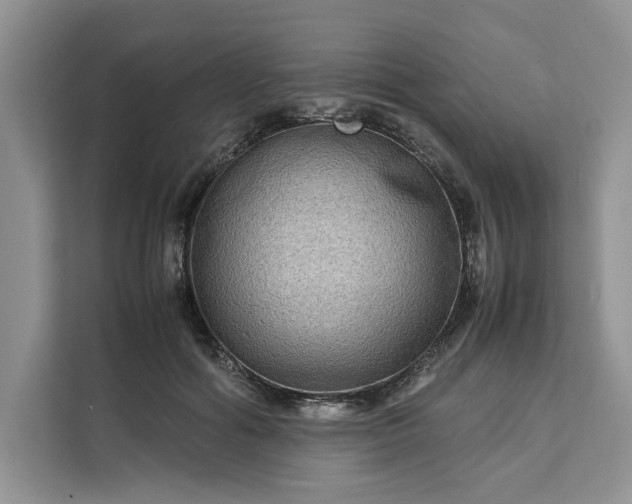 X0000111120602200907141152