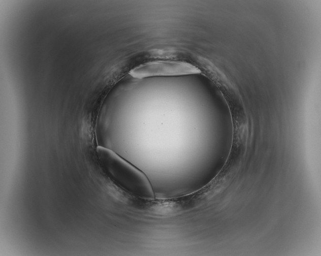 X0000111120609200907141152