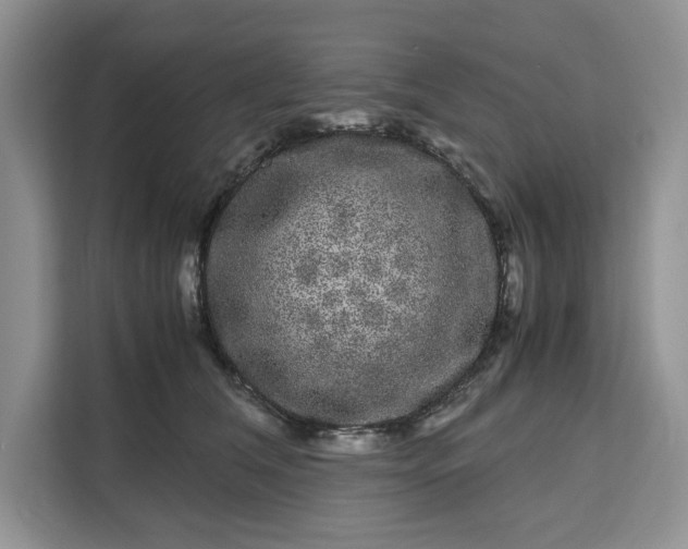 X0000111120612200907141152