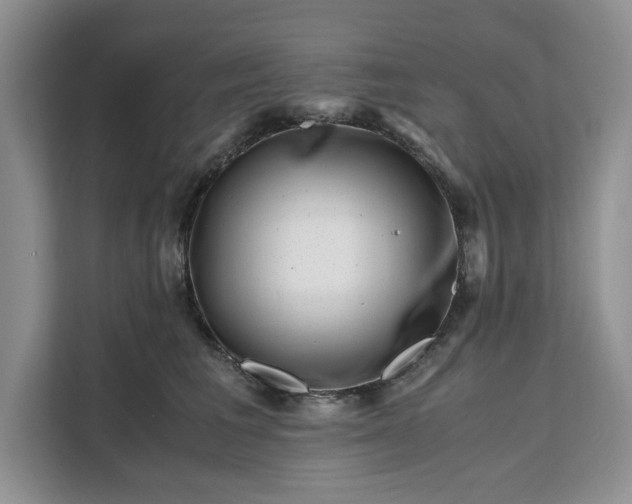 X0000111120613200907141152