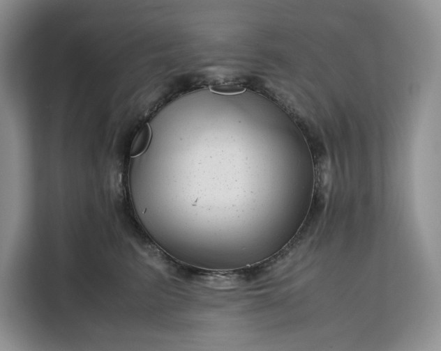 X0000111120615200907141152