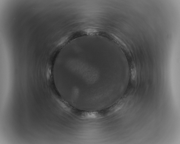 X0000111120618200907141152