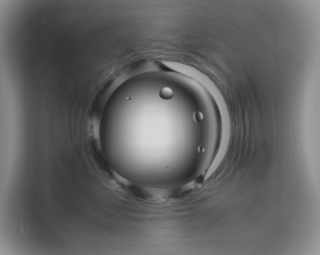 X0000111120621200907141152