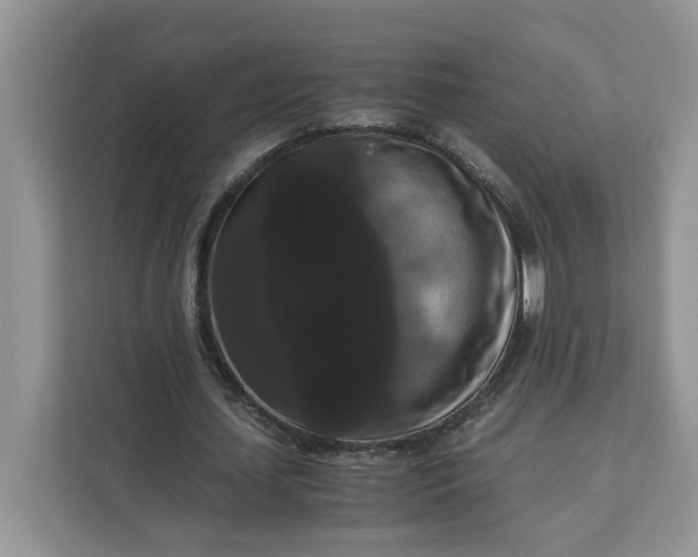 X0000111120627200907141151