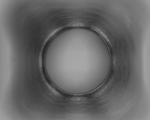 X0000111120629200907141151