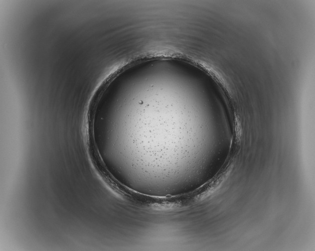 X0000111120630200907141151