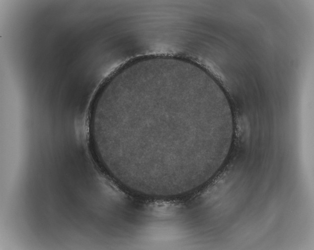 X0000111120632200907141151