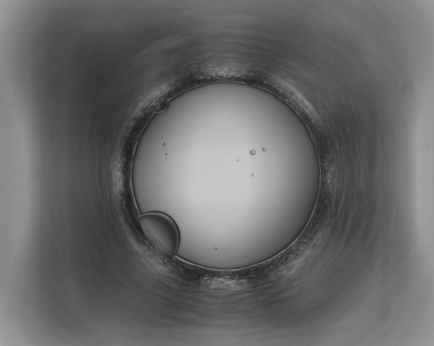 X0000111120635200907141151