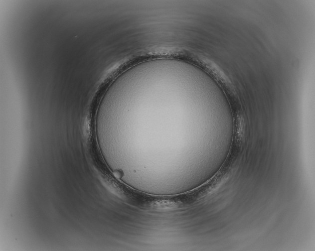 X0000111120636200907141151