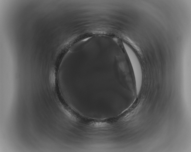 X0000111120637200907141151