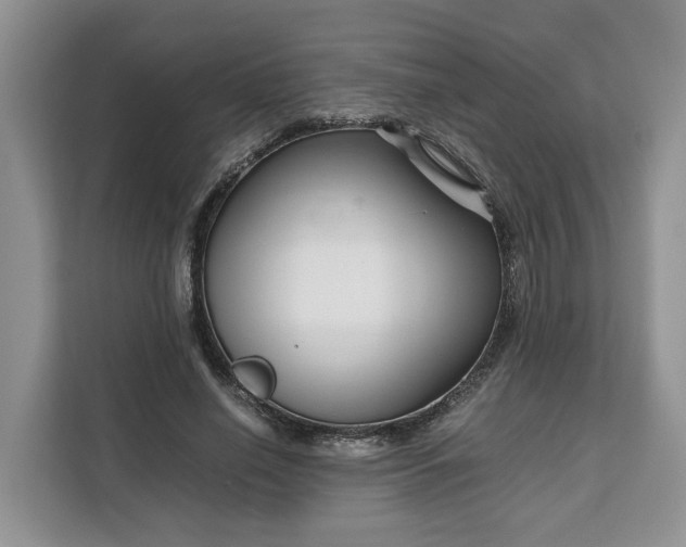 X0000111120638200907141151