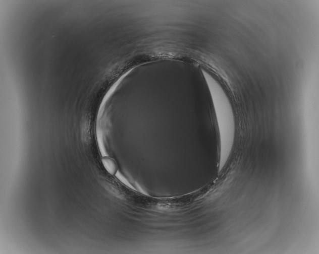 X0000111120641200907141151