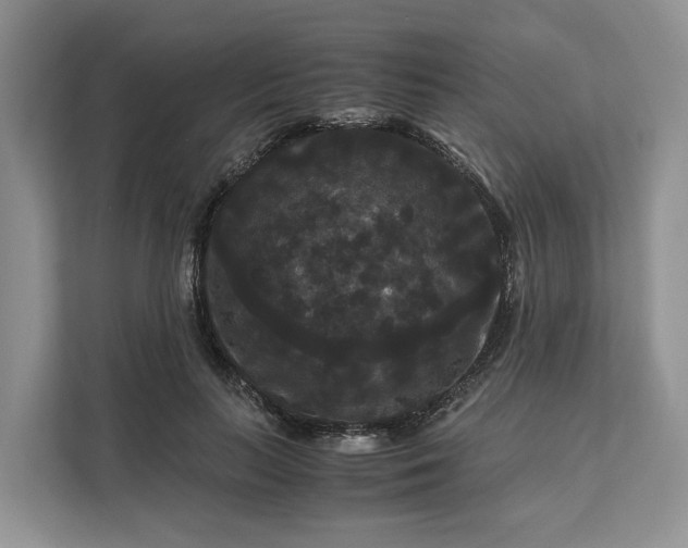 X0000111120647200907141151