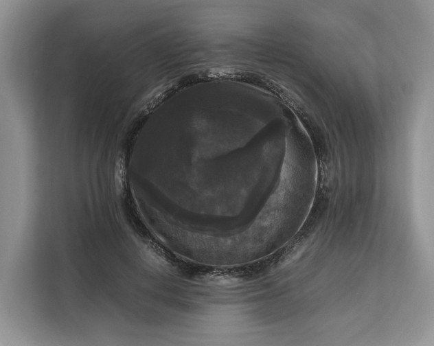 X0000111120648200907141151