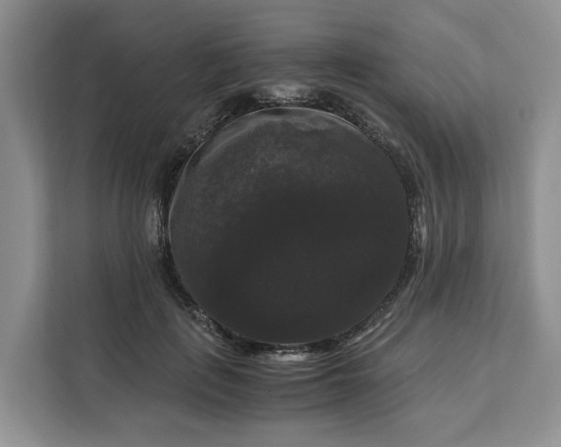 X0000111120651200907141152