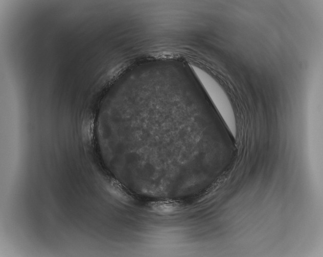 X0000111120652200907141152