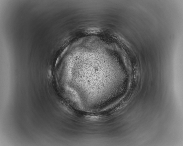 X0000111120655200907141152