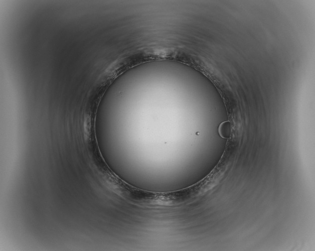 X0000111120656200907141152