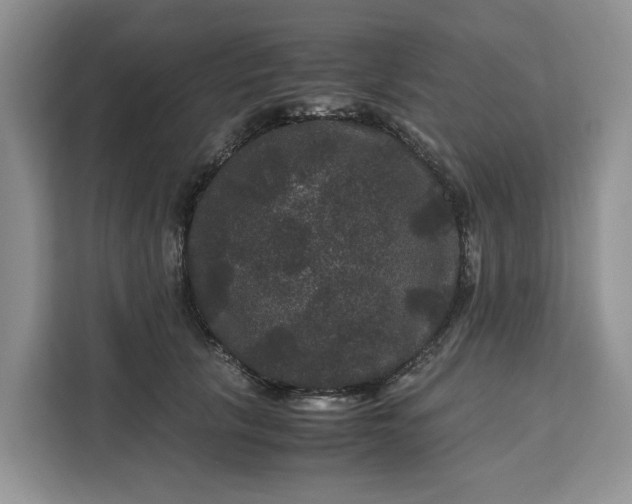 X0000111120657200907141152