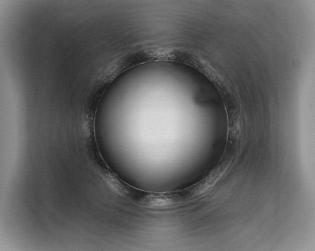 X0000111120658200907141152