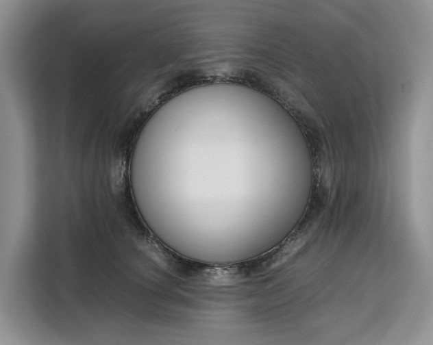 X0000111120660200907141152