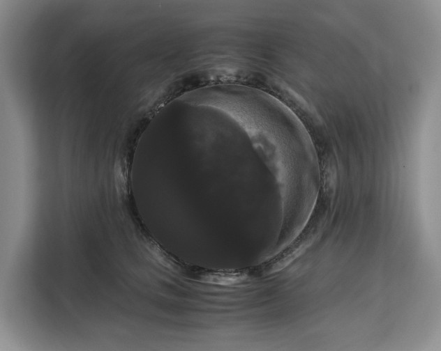 X0000111120661200907141152