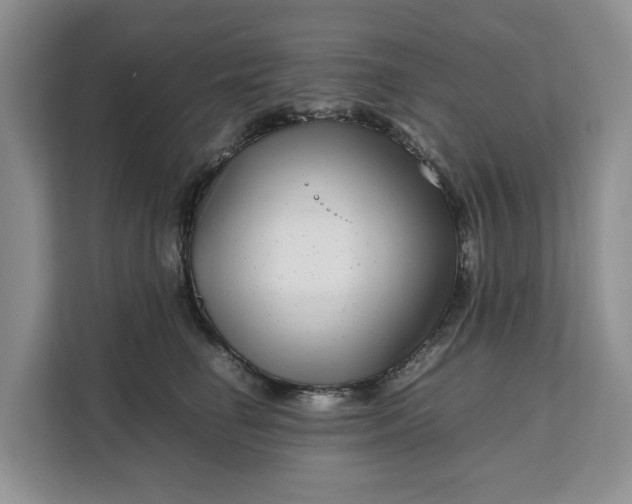 X0000111120662200907141152