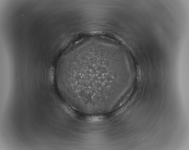 X0000111120664200907141152