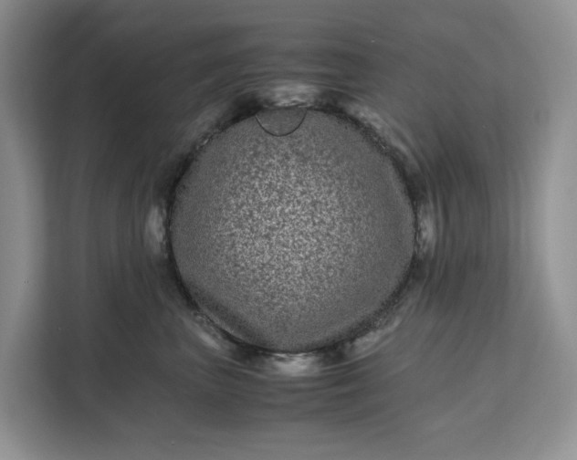 X0000111120667200907141152