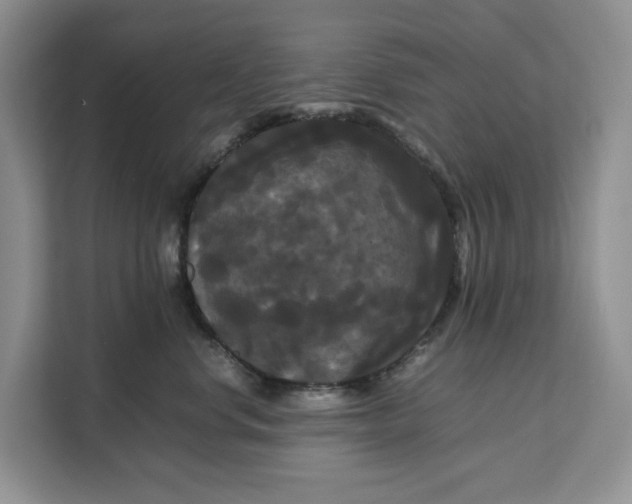 X0000111120668200907141152