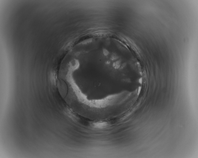 X0000111120669200907141152