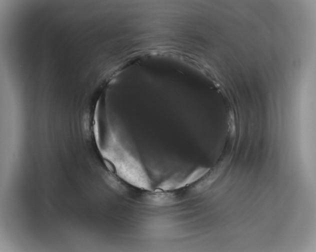 X0000111120670200907141152