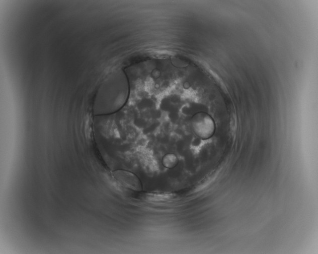 X0000111120671200907141152