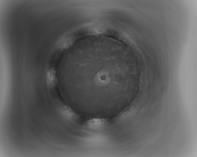 X0000111120672200907141152