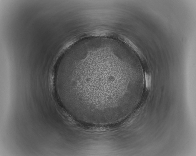 X0000111120675200907141151