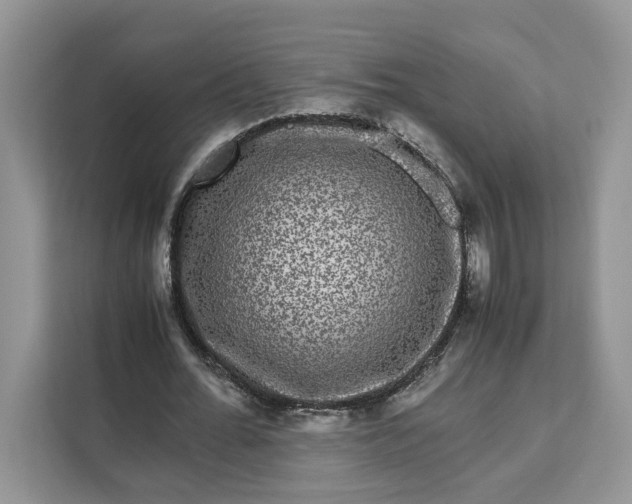 X0000111120676200907141151