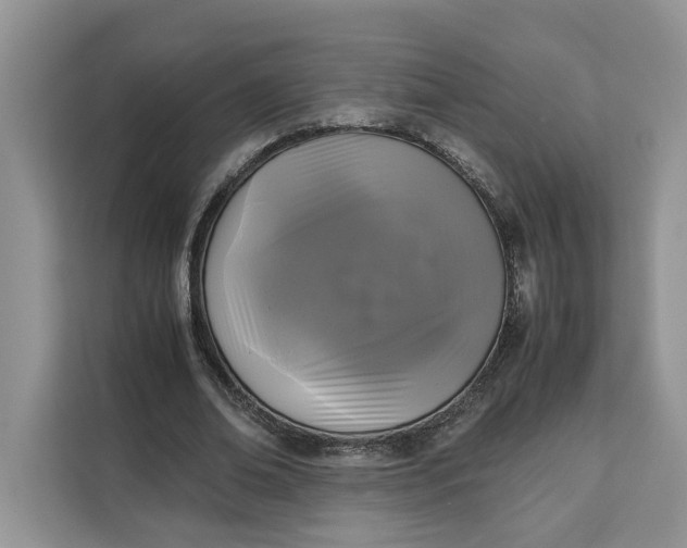 X0000111120678200907141151