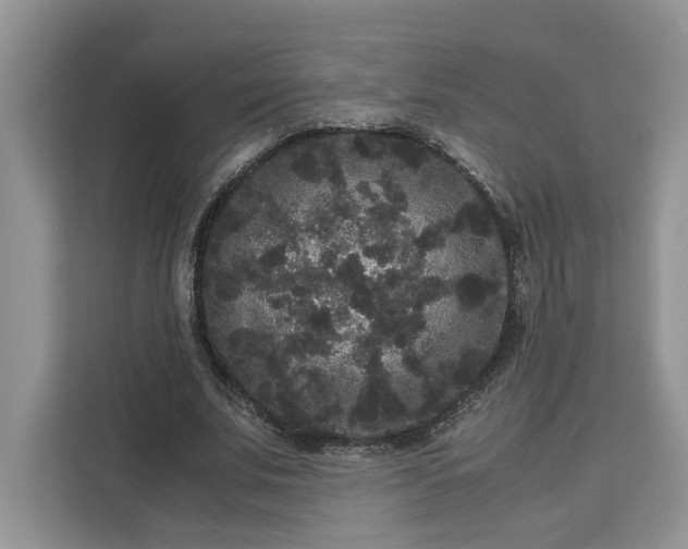 X0000111120679200907141151