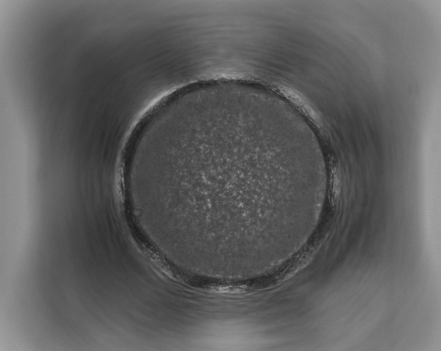 X0000111120680200907141151