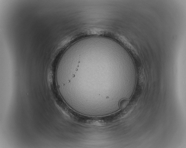 X0000111120683200907141151