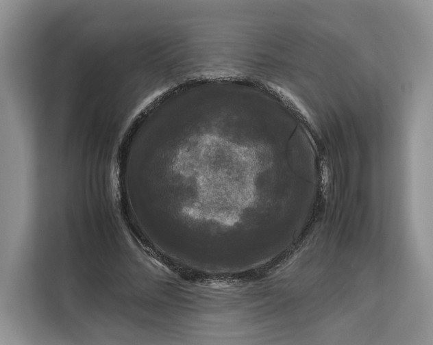 X0000111120684200907141151