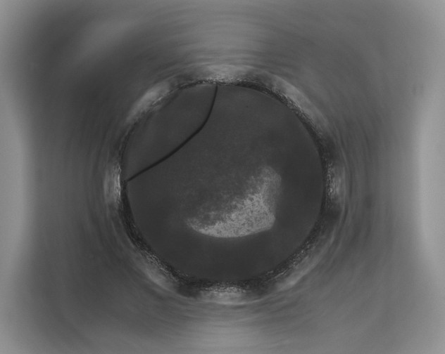 X0000111120685200907141151