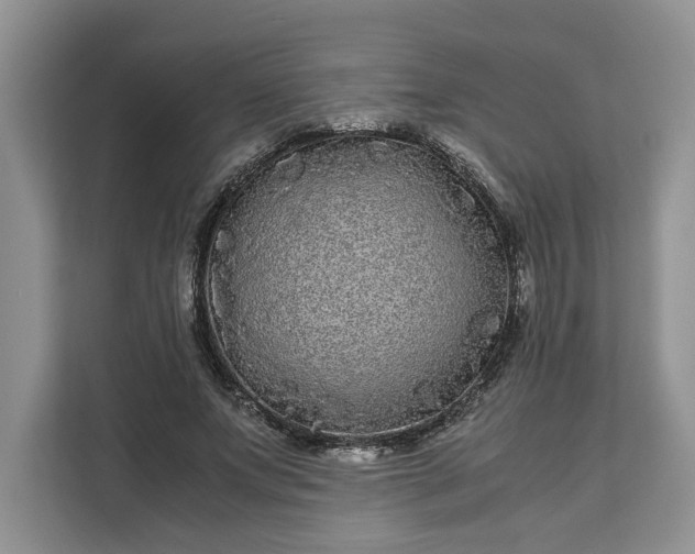 X0000111120687200907141151