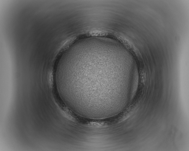 X0000111120690200907141151